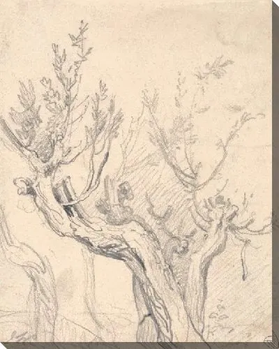 Картина Корявое дерево