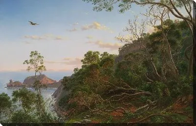 Чайные деревья возле мыса Шанк, Виктория