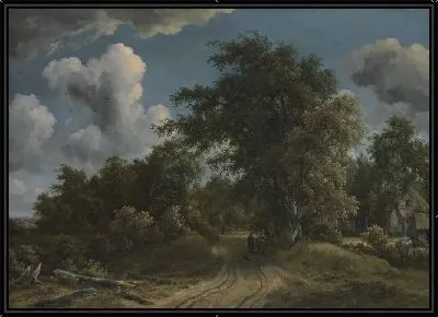 Лесная дорога