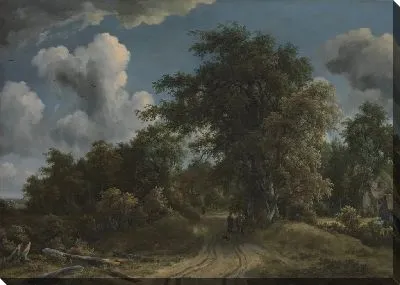 Лесная дорога