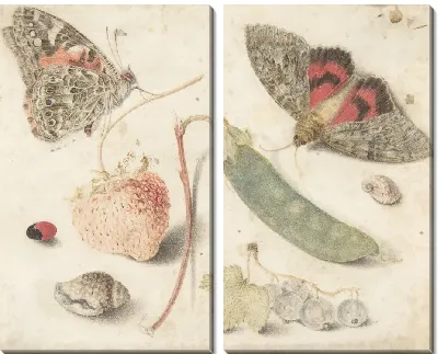 Исследования фруктов, насекомых и скорлупы