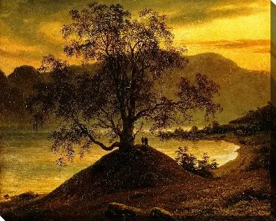 Старая береза у Согне-фьорда