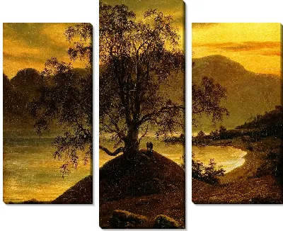 Старая береза у Согне-фьорда