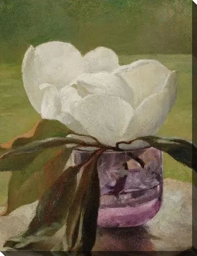 Картина Магнолия Блоссом