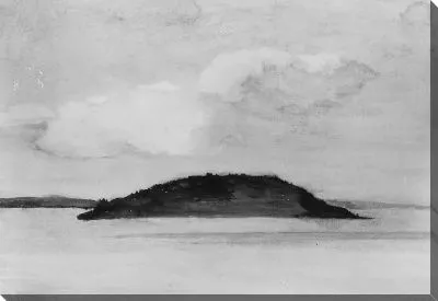 Картина Остров овец дикобраза, Бар-Харбор, Мэн, Вечерний кабинет, 29 августа 1896 г.