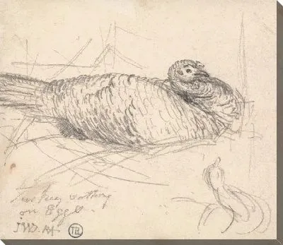 Картина Турция, сидящая на яйцах