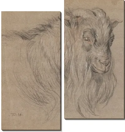 Картина Этюд головы барана