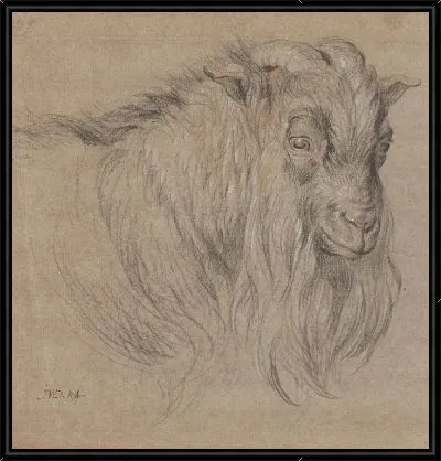 Этюд головы барана