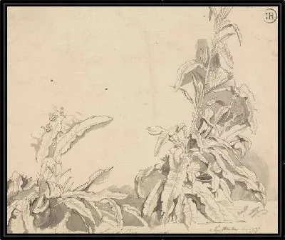 Картина Доки, 6 сентября 1777 г.