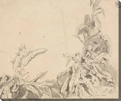 Картина Доки, 6 сентября 1777 г.