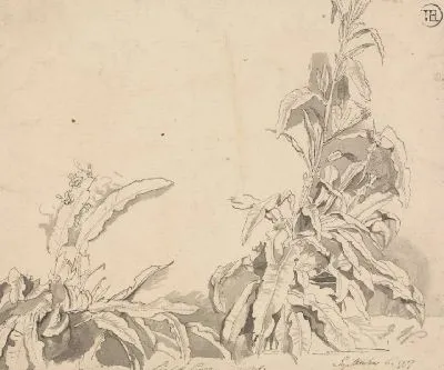 Картина Доки, 6 сентября 1777 г.