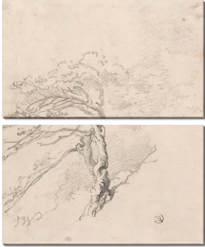 Дерево на склоне