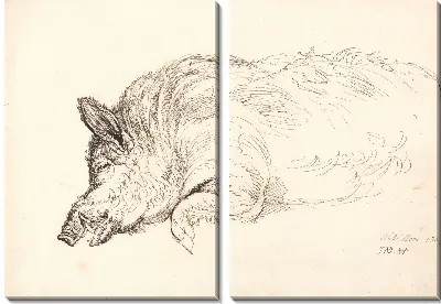 Картина Дикий кабан