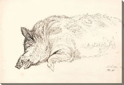 Картина Дикий кабан