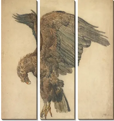 Картина Этюд с орлом