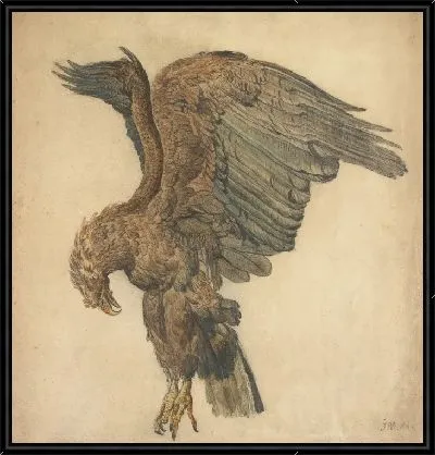Картина Этюд с орлом