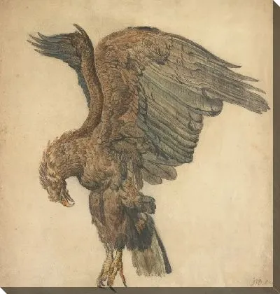 Картина Этюд с орлом