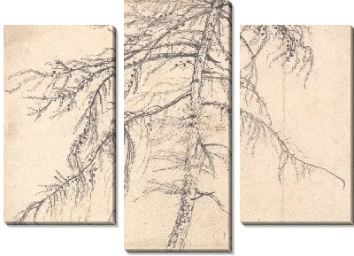 Лиственница