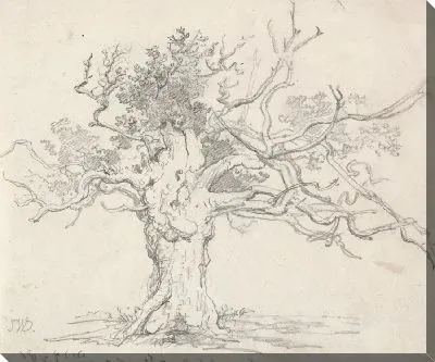 Картина Чахлый дуб