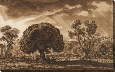 Приближающийся шторм