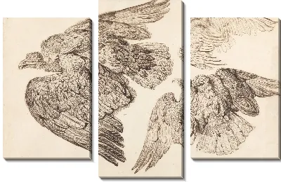 Картина Орлы