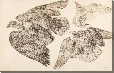 Картина Орлы