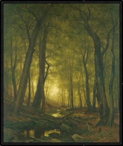 Вечер в лесу