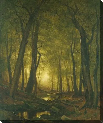 Вечер в лесу