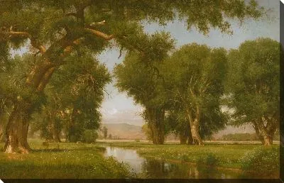 Картина На Кеш Ла Река Поудре, Колорадо