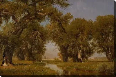 На реке Кэш-ла-Поудре, штат Колорадо