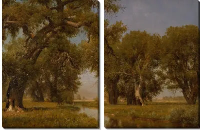 На реке Кэш-ла-Поудре, штат Колорадо