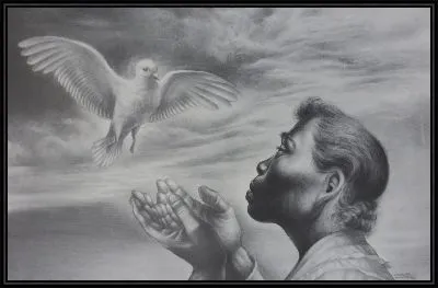 Без названия