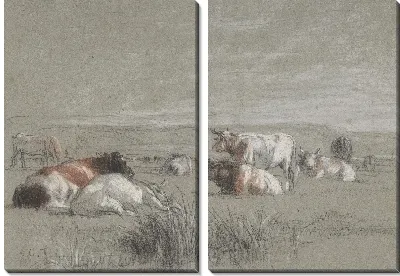 Коровы в пейзаже