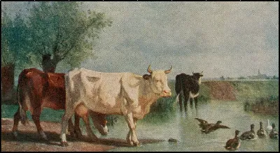 картина