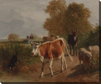 Овцы и крупный рогатый скот