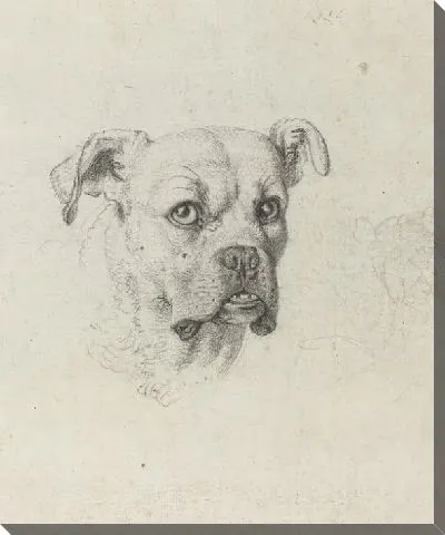 Картина Боксер