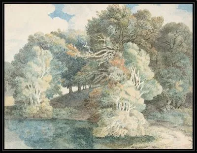 Деревья у озера, парк Пимор, недалеко от Эксетера, Девон