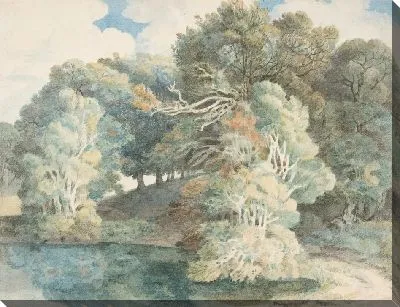 Деревья у озера, парк Пимор, недалеко от Эксетера, Девон