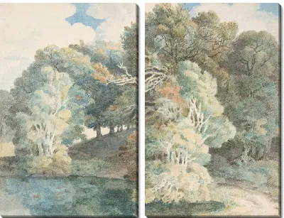 Деревья у озера, парк Пимор, недалеко от Эксетера, Девон