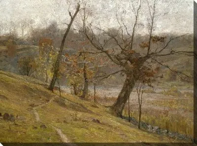 Цветение винограда