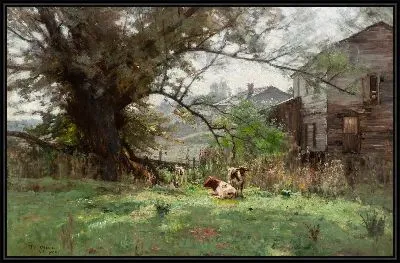 Утро - Старая мельница Шофилда