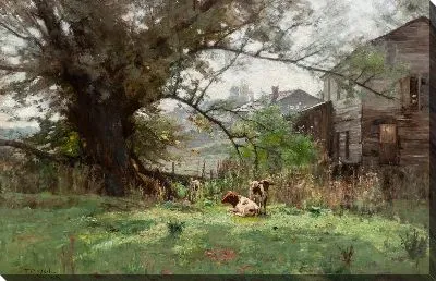 Утро - Старая мельница Шофилда