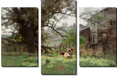 Утро - Старая мельница Шофилда