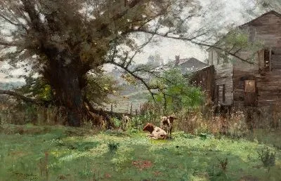 Утро - Старая мельница Шофилда