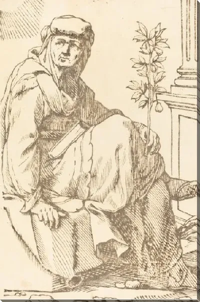 картина
