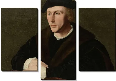 Портрет Йорис ван Эгмонд