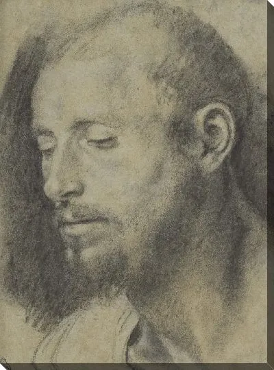 Картина Этюд головы бородатого