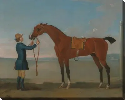 Картина Герцог Девонширских летающих чайлдеров