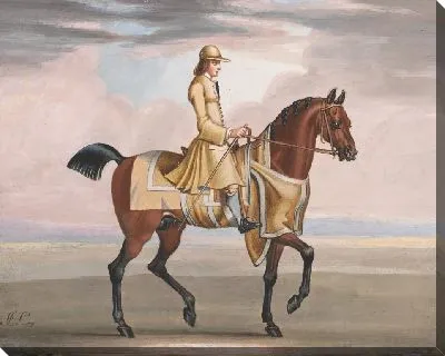 Картина Каштановая лошадь на тренировке