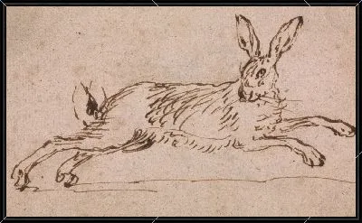 Картина Заяц Бегущий, с Ушными Уколами